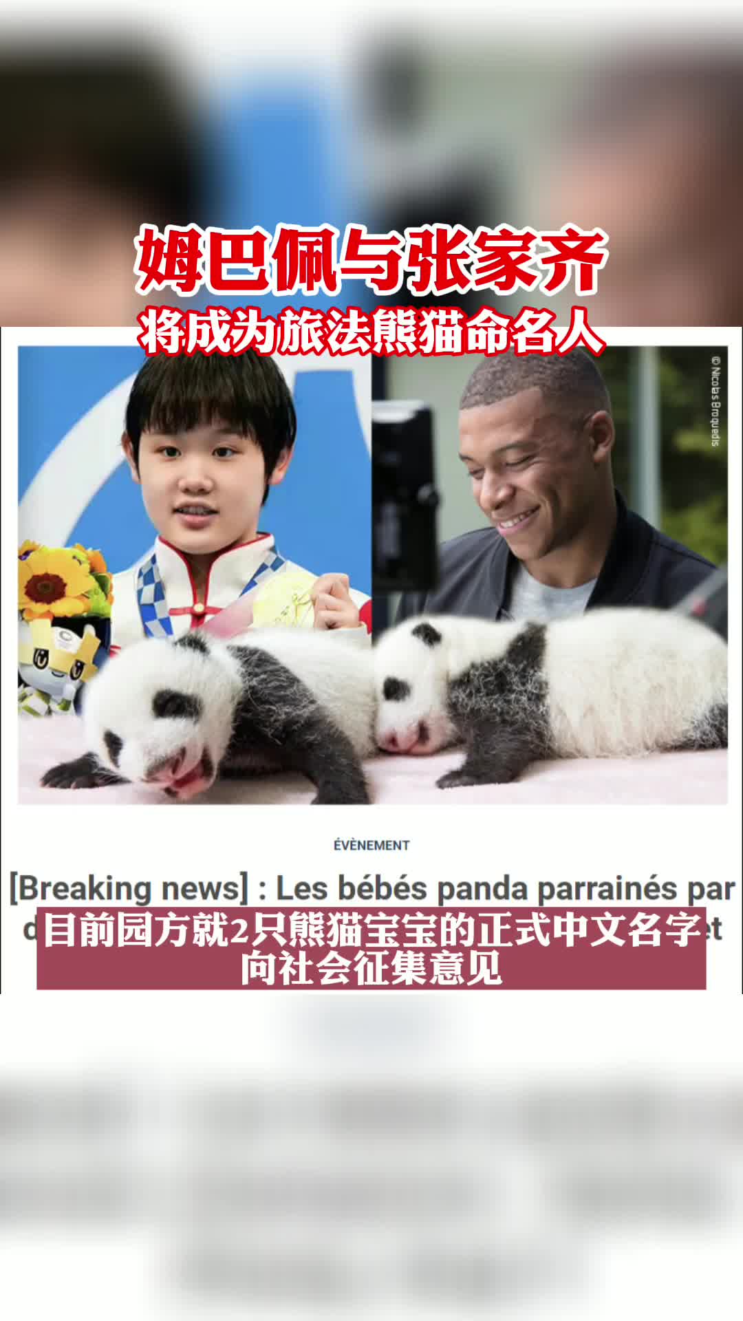 姆巴佩与张家齐将成为旅法熊猫命名人